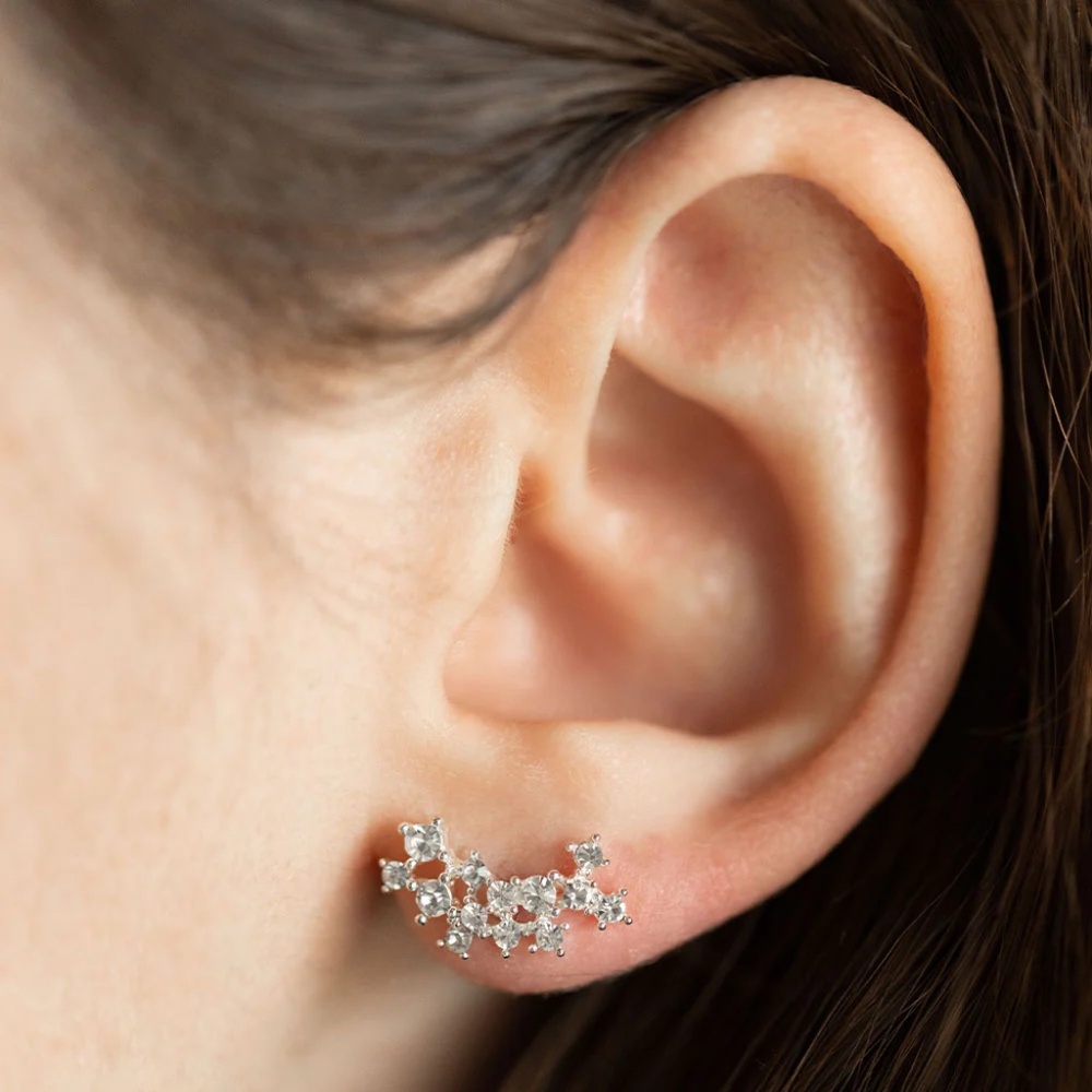 Climber Earrings